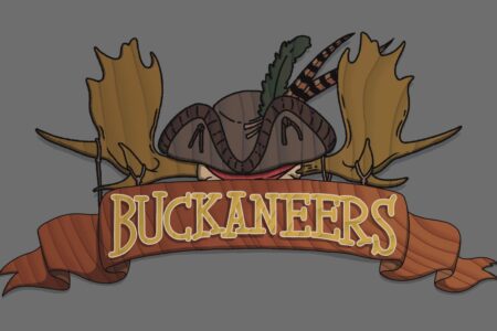 Buckaneers - game cover