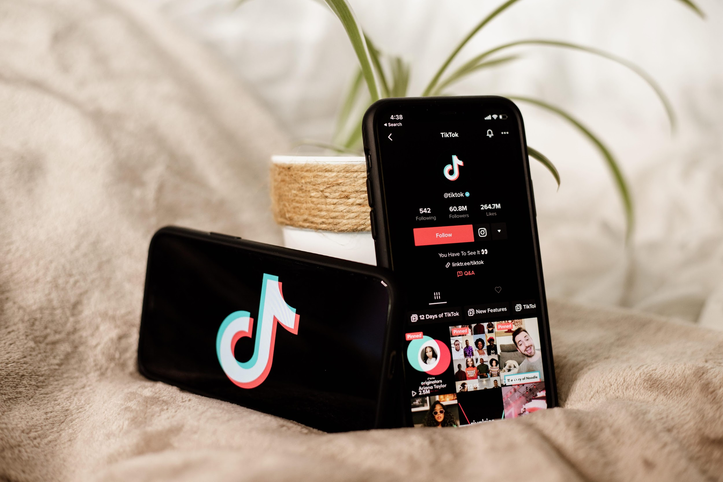 Why Social Proof Shapes TikTok Success